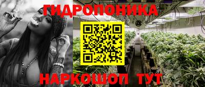 мяу мяу мука Кулебаки