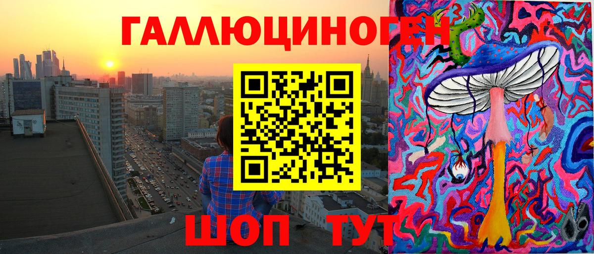 Киселёвск  Псилоцибиновые грибы Psilocybe  Вход с VPN 